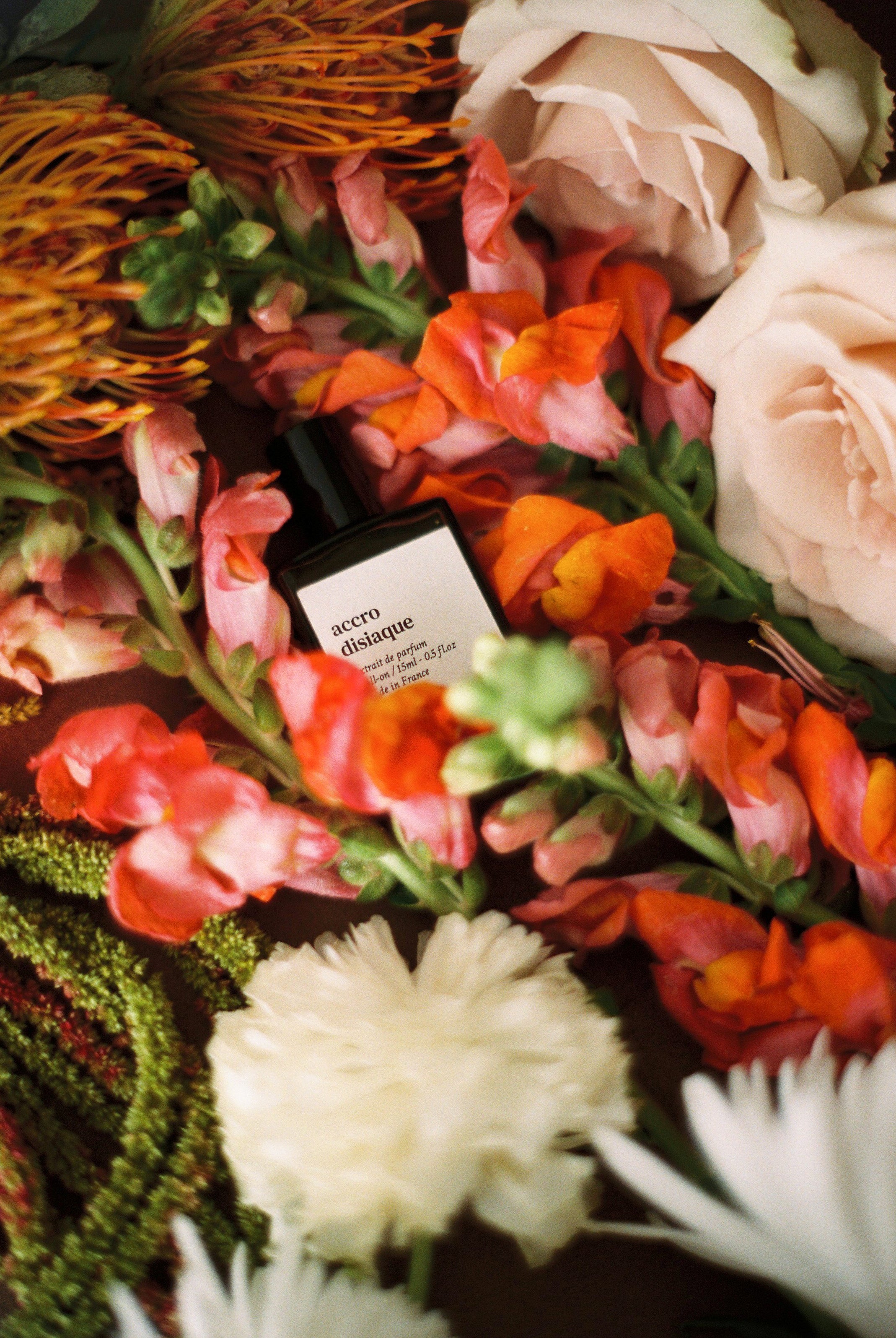 ACCRODISIAQUE - AKRODISIAK