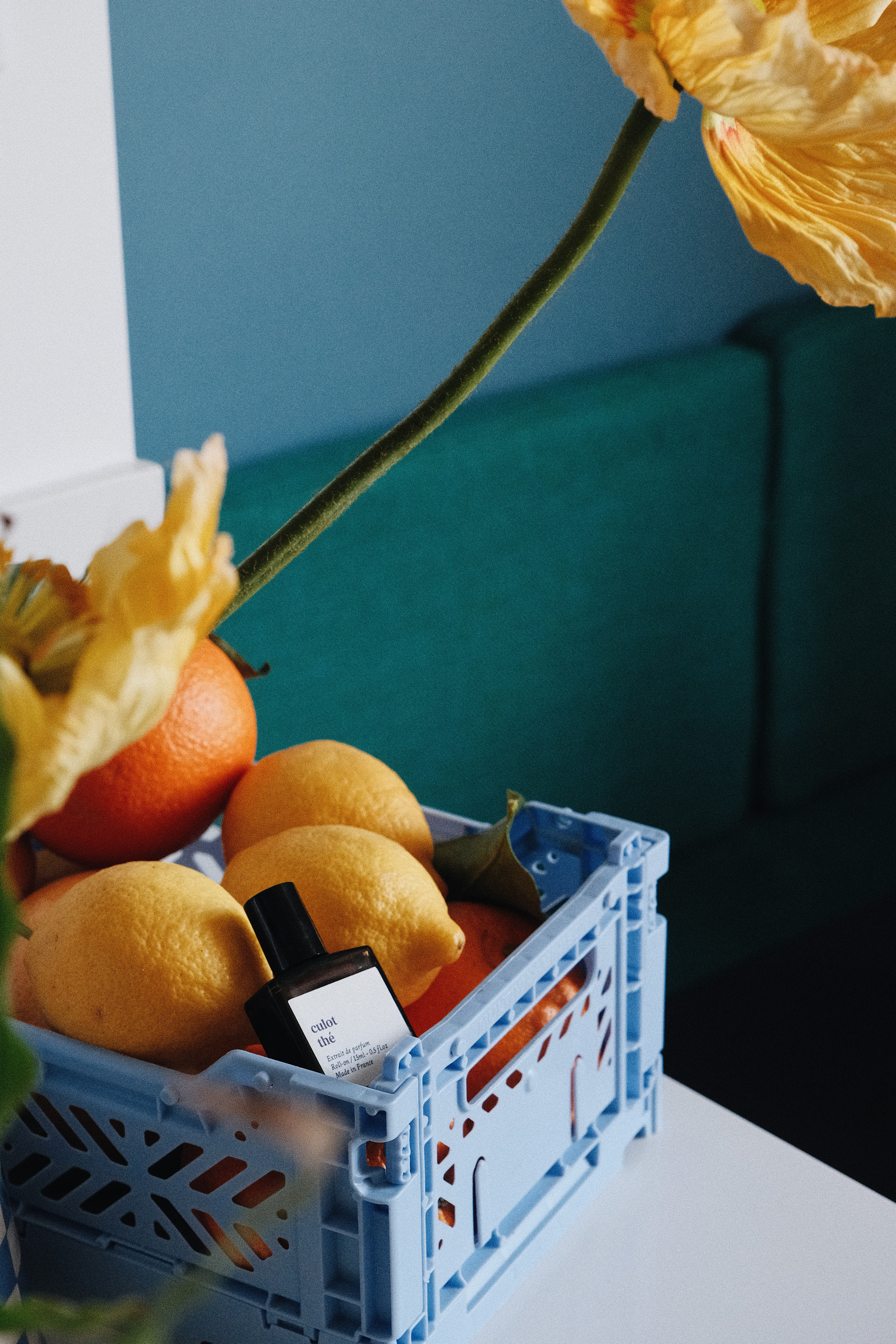 CULOT THÉ - ČAJOVÝ ZÁKLAD