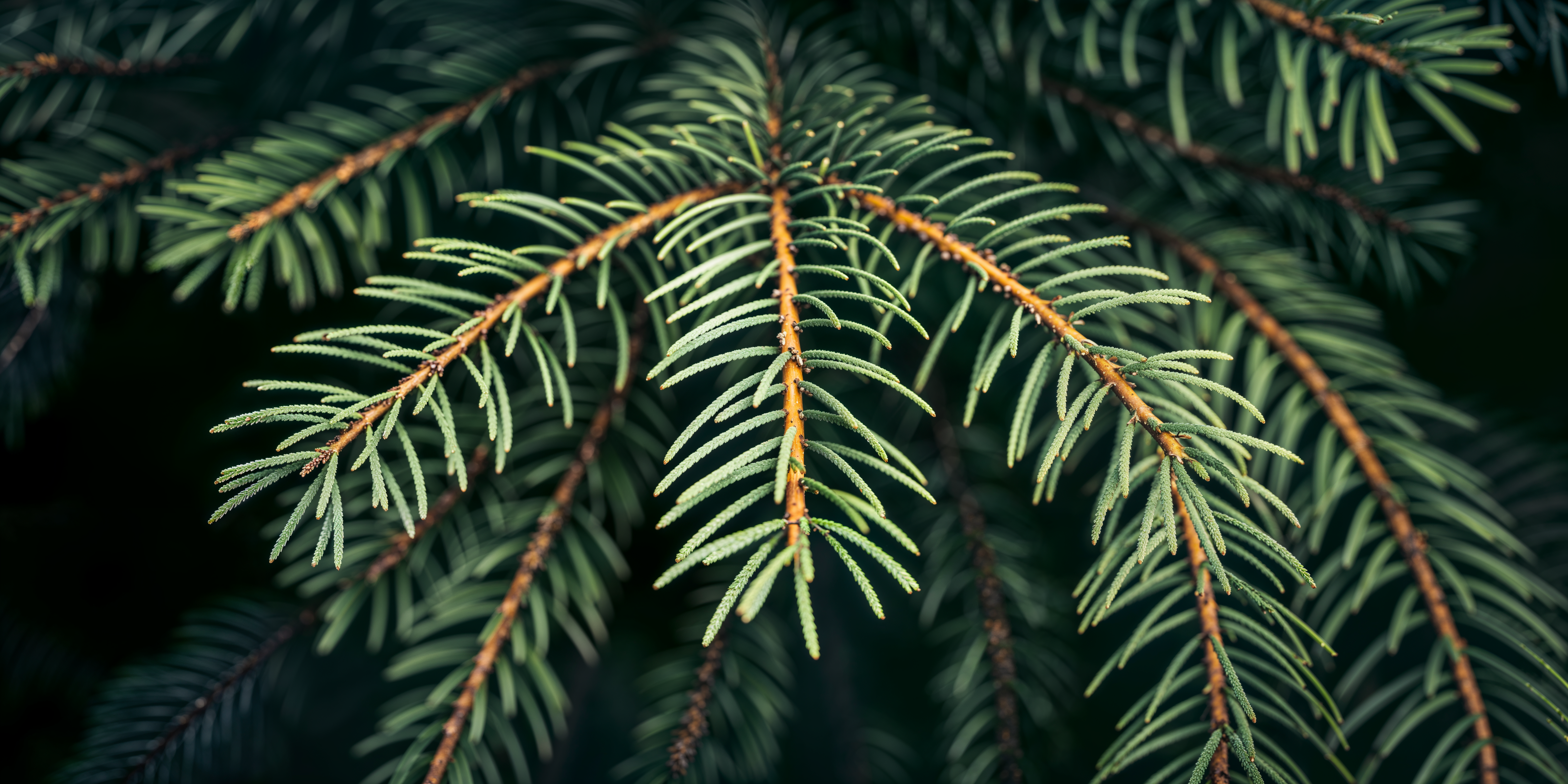 Podzimní atmosféry