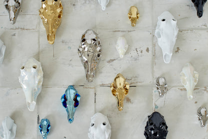 Zlatá lebka - lasička