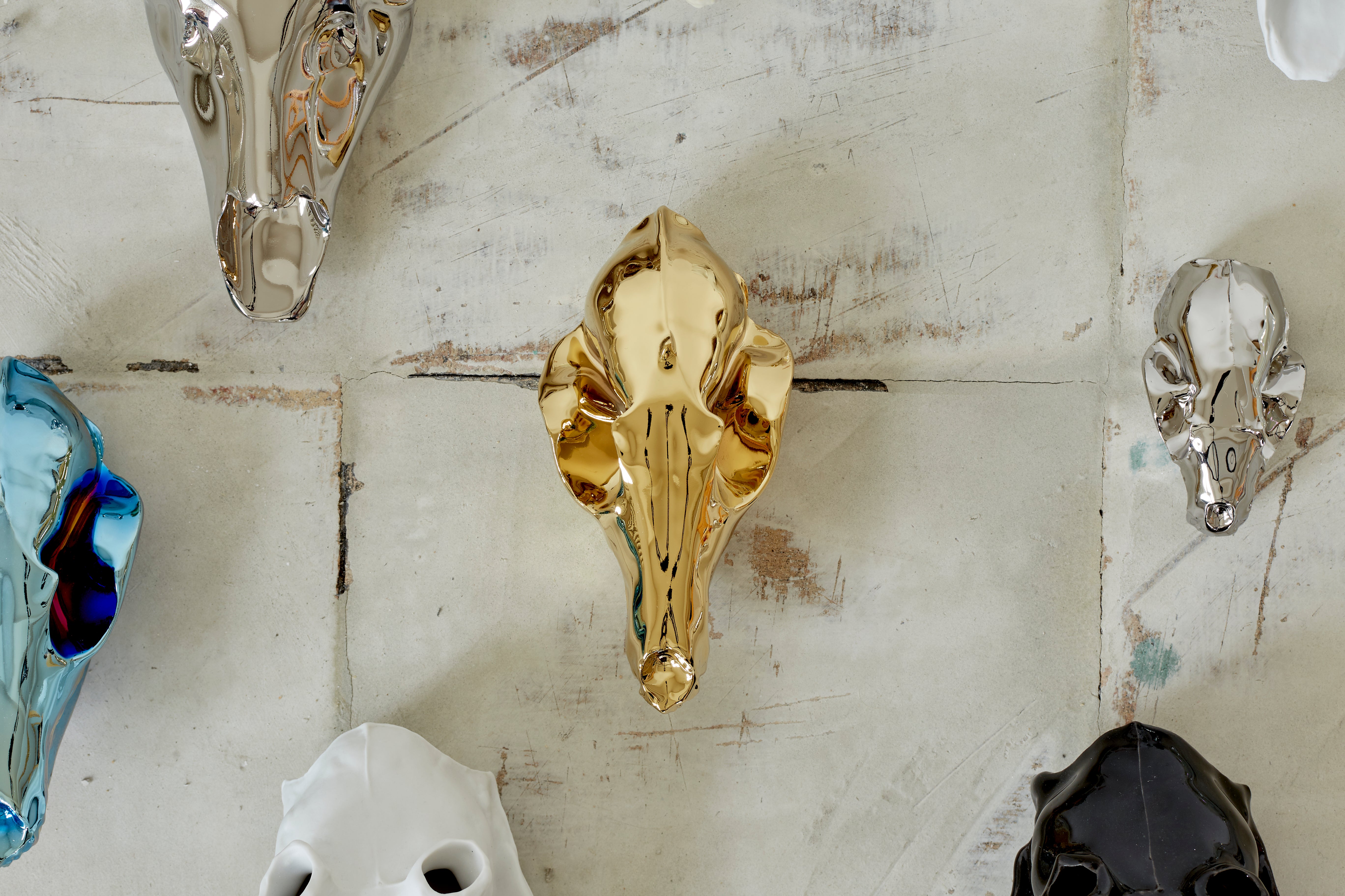 Zlatá lebka - liška