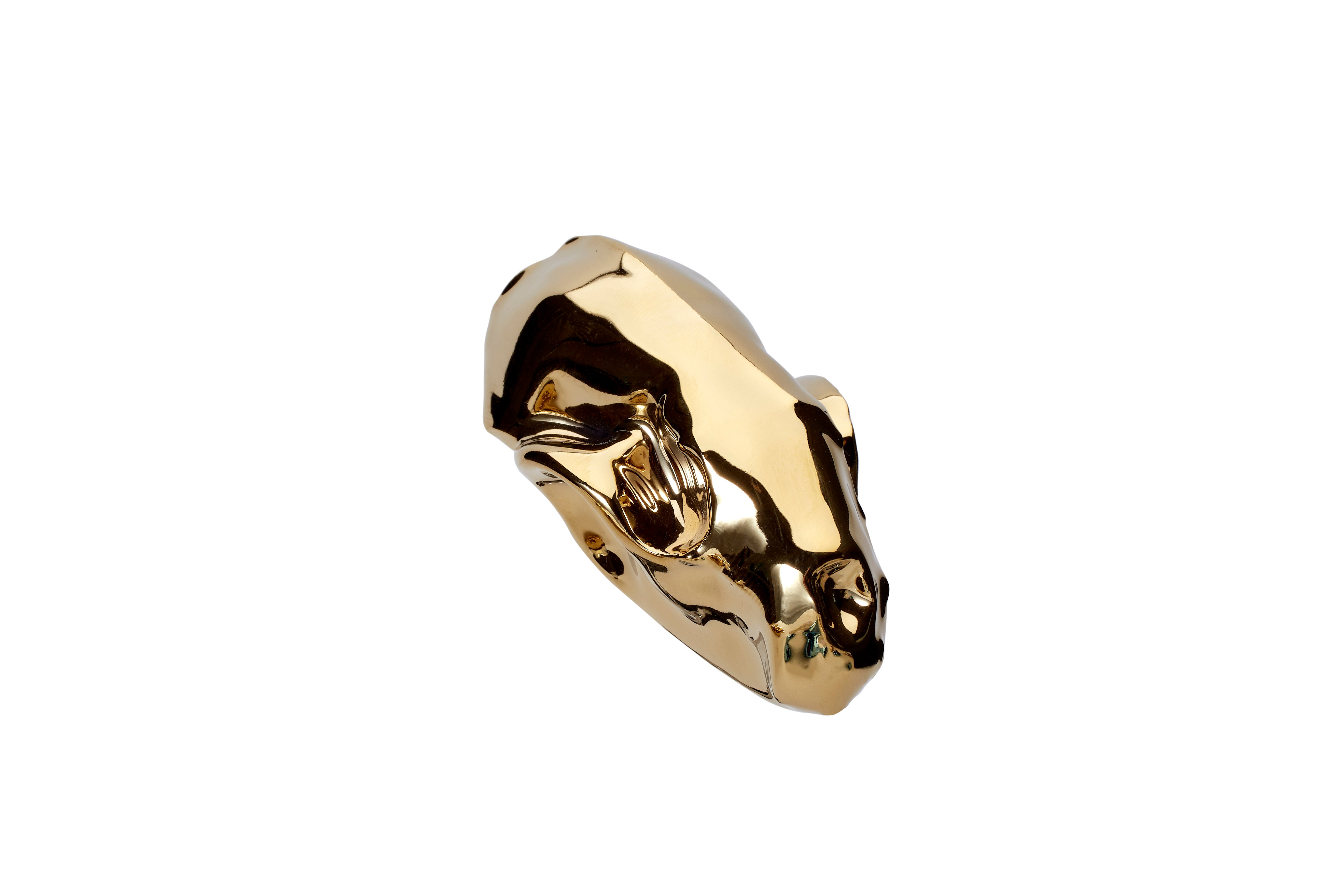 Zlatá lebka - lasička